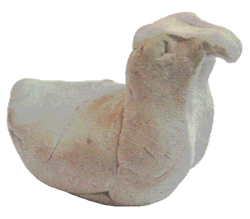 Kneaded eraser seagull